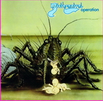 Birth Control - Operation